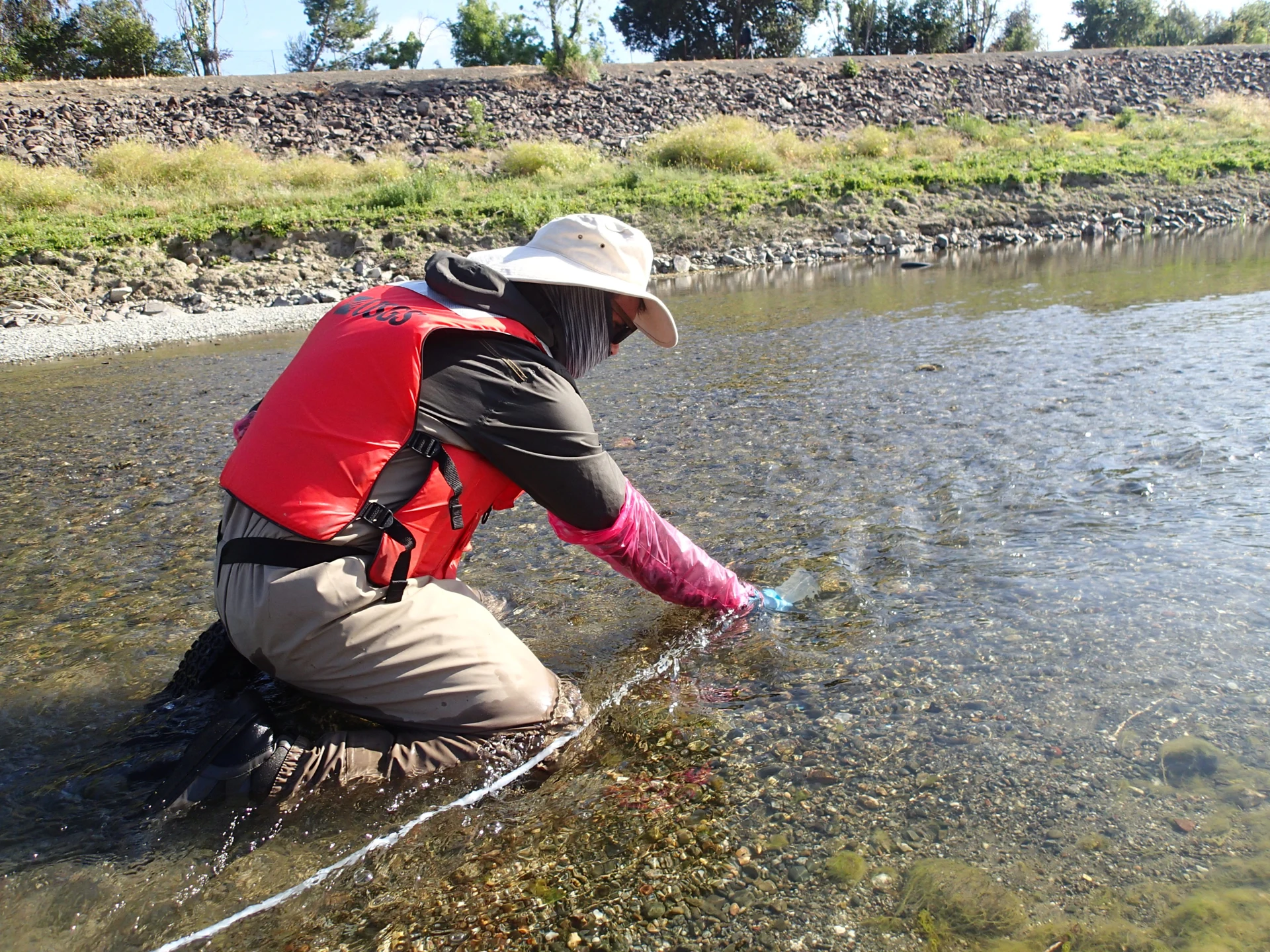 A USGS scientist collecting a water sample in Alameda Creek, California