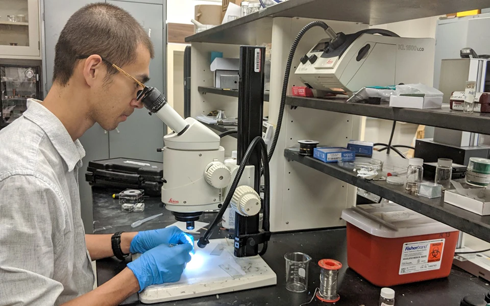 Researcher Sheng Ran examining a material sample through an optical microscope